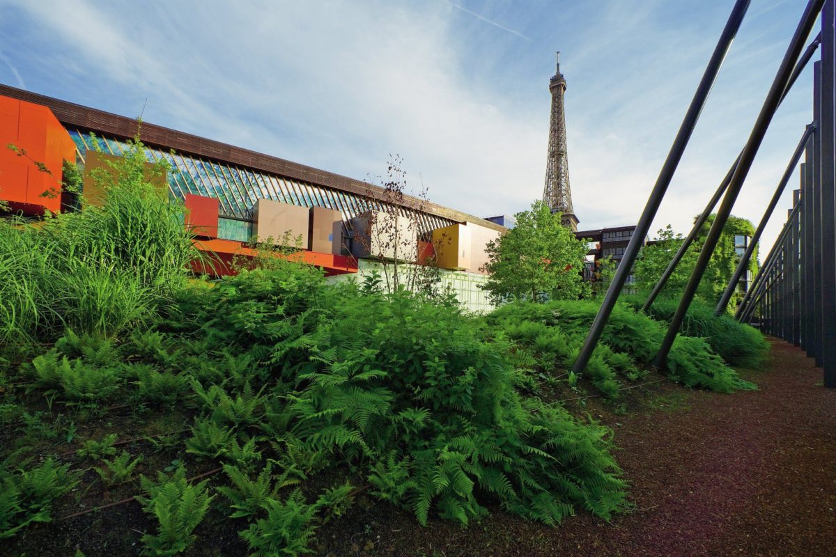 Les projets nouveaux médias du musée du quai Branly